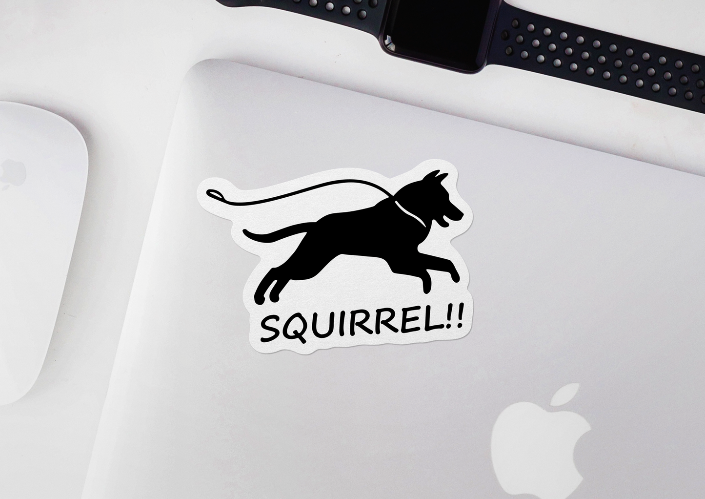 Squirrel!! STICKER OR MAGNET