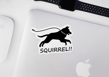 Squirrel!! STICKER OR MAGNET