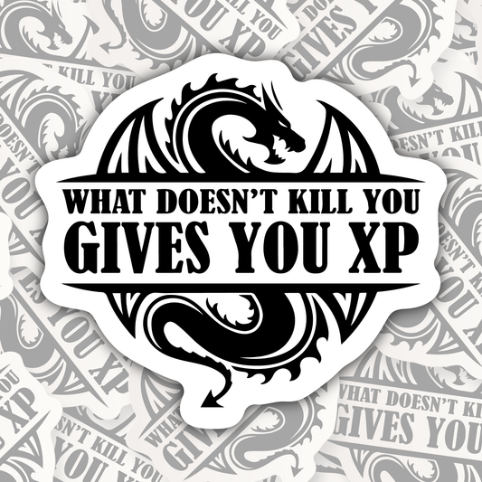 What Doesn't Kill You Gives You XP STICKER OR MAGNET