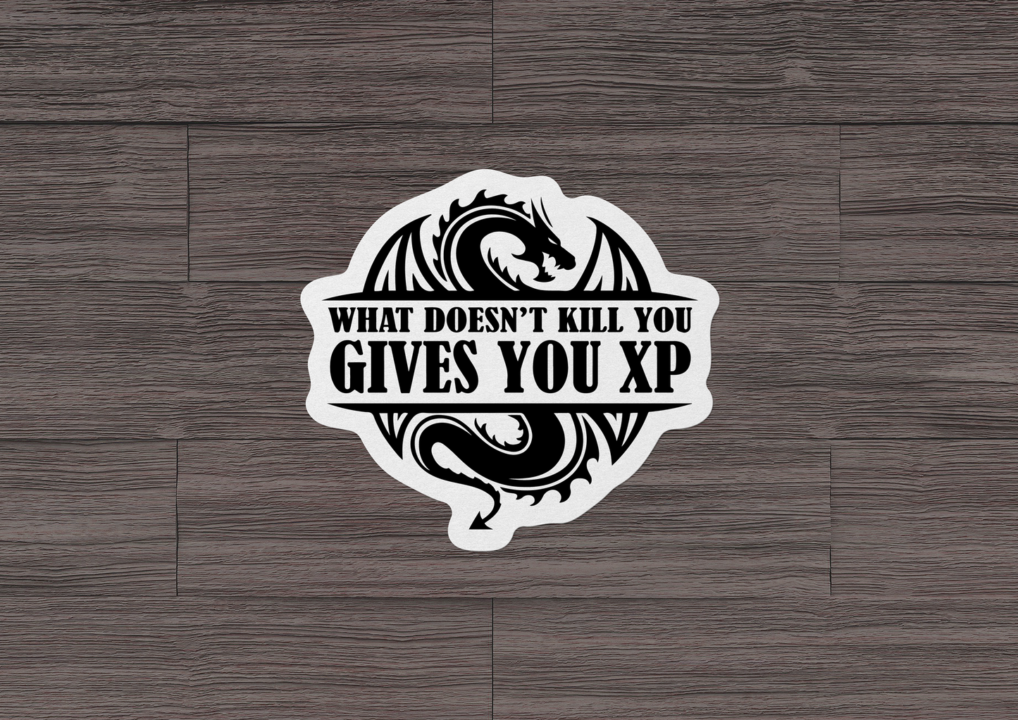 What Doesn't Kill You Gives You XP STICKER OR MAGNET