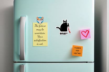 What? Cat * STICKER OR MAGNET * Die-Cut | Vinyl | Decal | Waterproof | Weatherproof